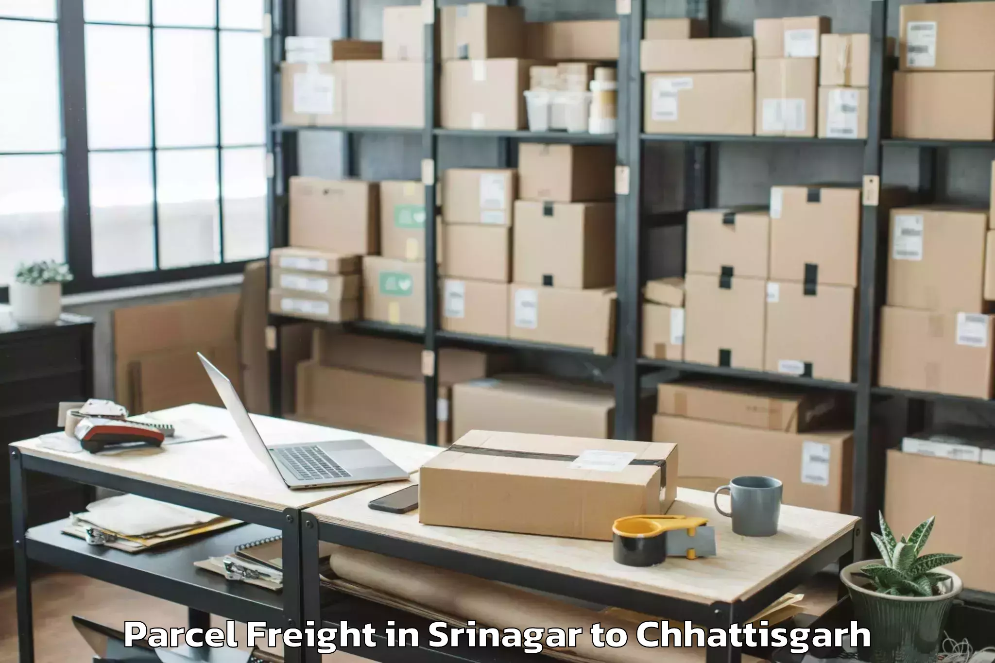 Book Your Srinagar to Korba Parcel Freight Today